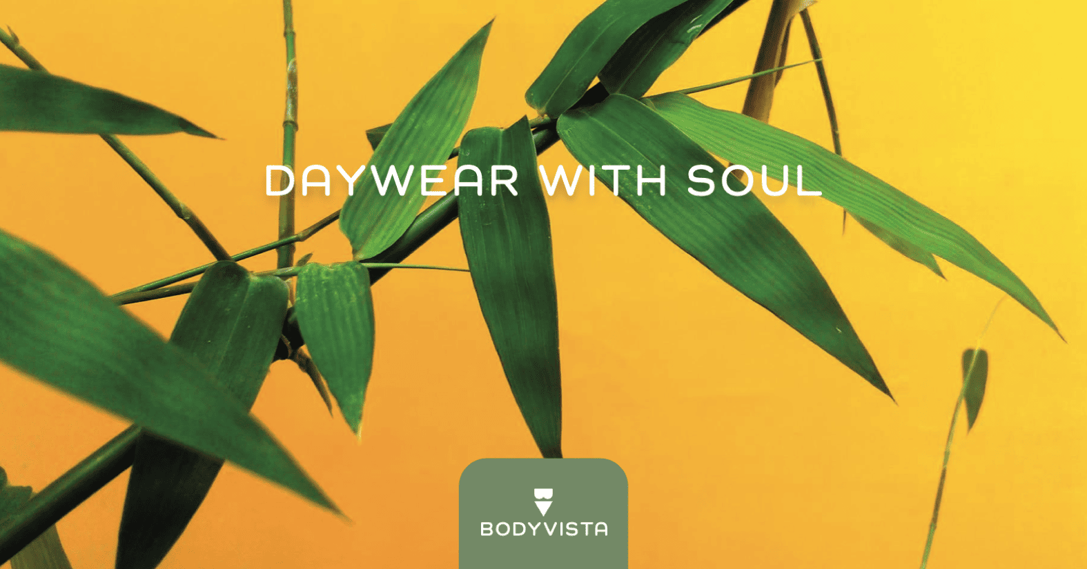 body-vista-main